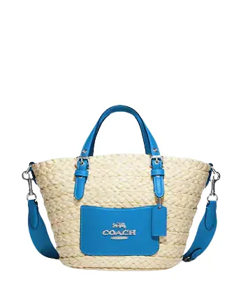 Coach Small Straw Tote